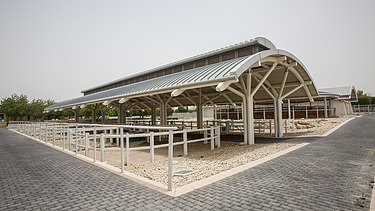 Das Al Shaqab Equine Veterinary Medical Center ist national und international führend in der klinischen und diagnostischen Versorgung von Pferden