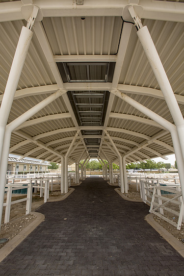 Covered stable and treatment area at the Al Shaqab Equine Veterinary Medical Centre, featuring a symmetrical steel structure, paved walkway, and horse stalls