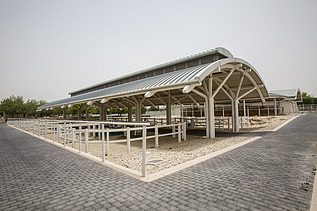 The Al Shaqab Equine Veterinary Medical Centre is a national and international leader in equine medicine.