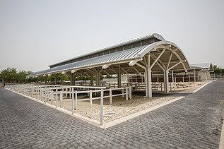 The Al Shaqab Equine Veterinary Medical Centre is a national and international leader in equine medicine.